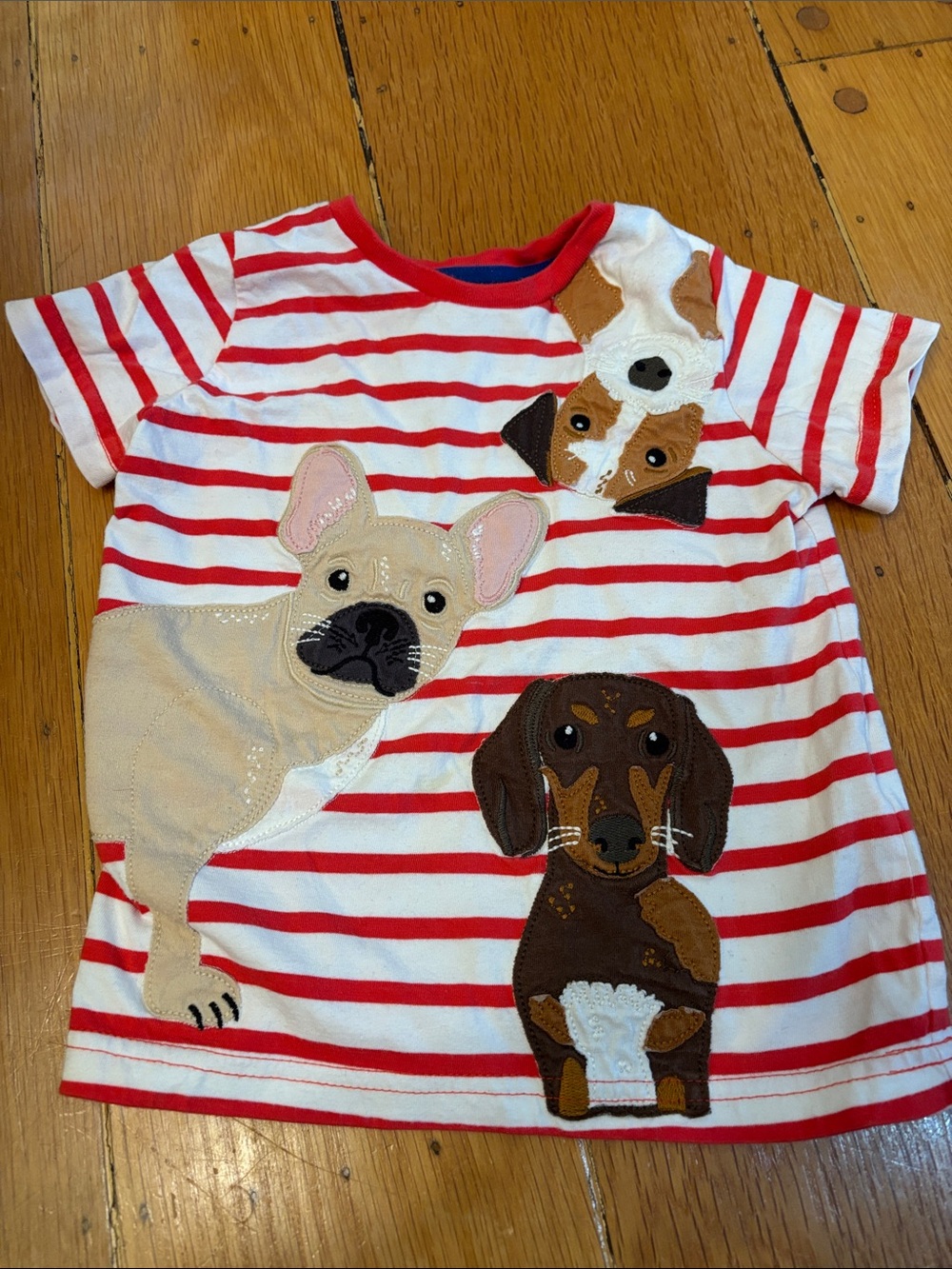 Mini Boden dog shirt